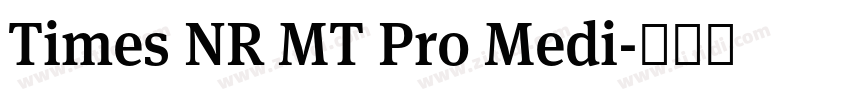 Times NR MT Pro Medi字体转换
